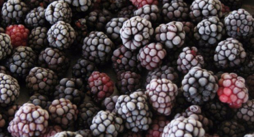 Jednoduchý recept na přípravu ostružinového džemu na zimu